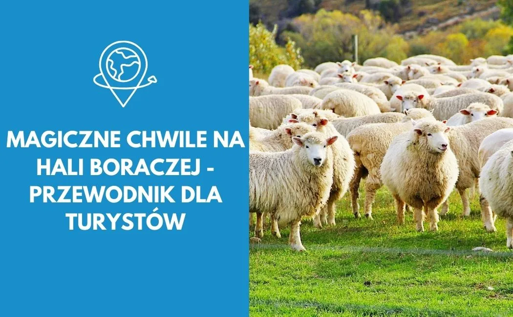 Magiczne chwile na Hali Boraczej - przewodnik dla turystów