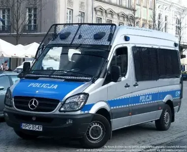 Dziki coraz częściej podchodzą pod domy w Żywcu - policja ostrzega