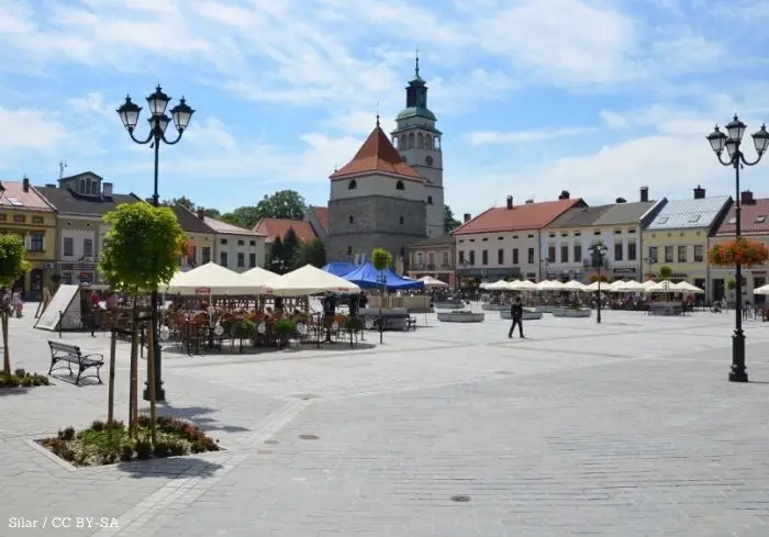Jak zgłosić szkody łowieckie w uprawach - przewodnik krok po kroku dla rolników