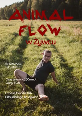 Flow Zabawa: warsztaty ruchowe